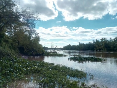 (c) PN Islas de Santa F�. . 