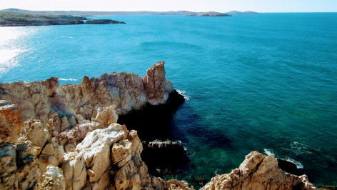 (c) Mariano Libua. Punta Reducto (PIMC Patagonia Austral). 