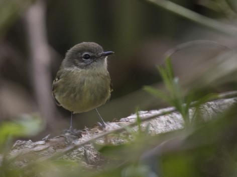 (c) Emilio Mart�n P�rez. Tigre - Buenos Aires. 