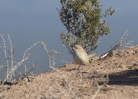 (c) Emilio Mart�n P�rez. Reserva Natural Villavicencio. 