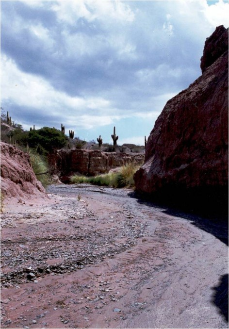 (c) Roberto Canelo. Duendeyacu. Parque Nacional Los Cardones. 