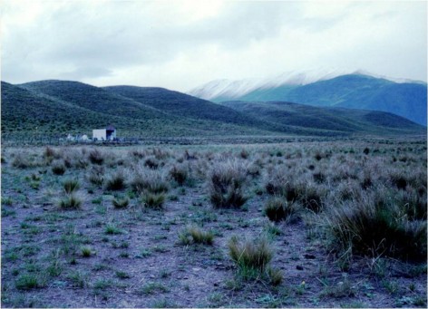 (c) Roberto Canelo. Cementerio en Piedra del Molino, Cerro Negro al fondo, Parque Nacional Los Cardones. 