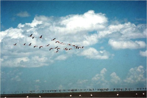 (c) Roberto Canelo. Laguna de los Pozuelos. 