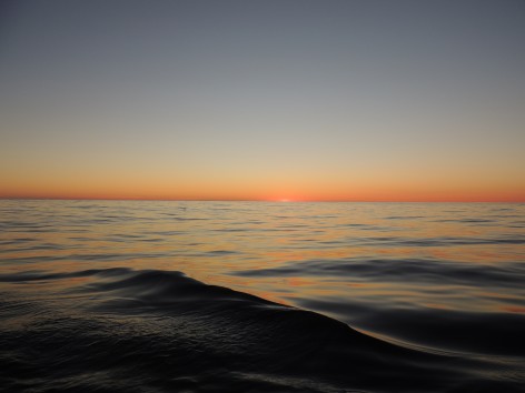 (c) Nahuel Chavez- Aves Argentinas. Atardecer en el AMP Namuncura-Banco burwood. 																																																								