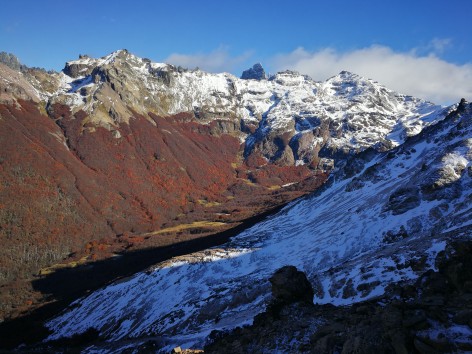 (c) Camilo Rotela. Parque Nacional Los Alerces. 																												