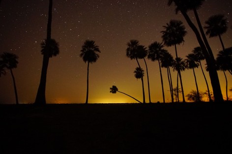 (c) R�mulo Carpinetti. PN Laguna El Palmar. 														