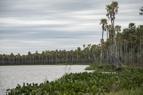 (c) Juan Mateo Aberastain Zubimendi. PN Laguna El Palmar. 																																																								
