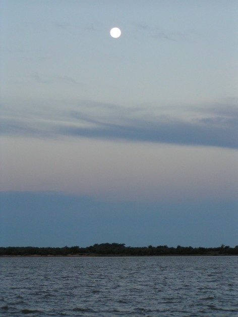 (c) Gil, Guillermo. . 