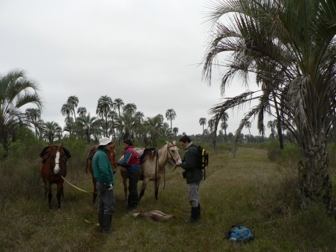 (c) Camposano, Monica. . 