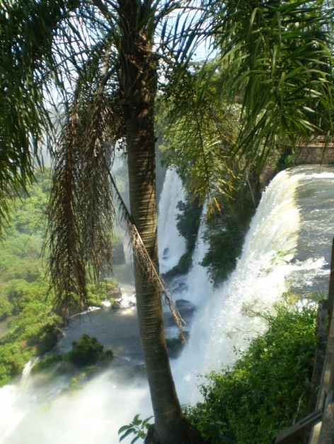 (c) Raymundi, Dalma. . 