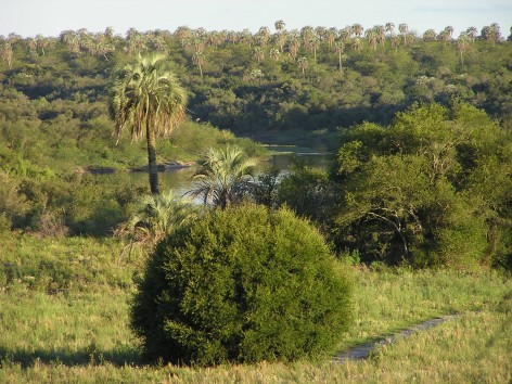 (c) Fabri, Silvina. . 